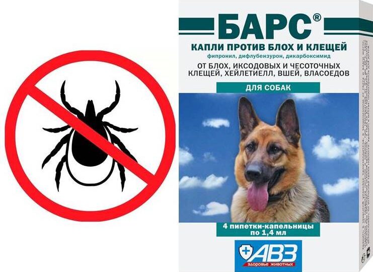 ВЕСНА В РАЗГАРЕ. КЛЕЩИ НЕ ДРЕМЛЮТ.