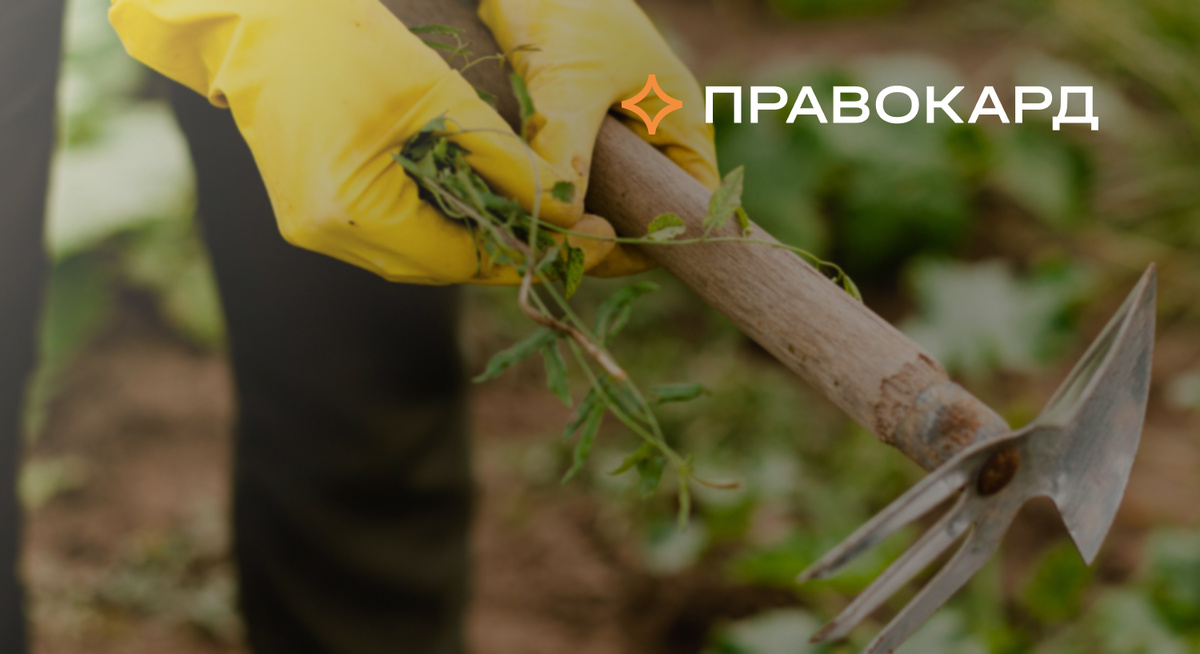 О новых дачных штрафах и как их избежать, рассказывает юрист ПРАВОКАРД