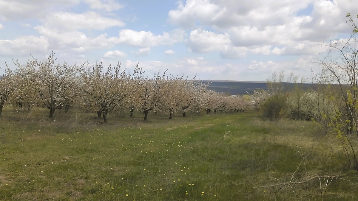 Фото автора