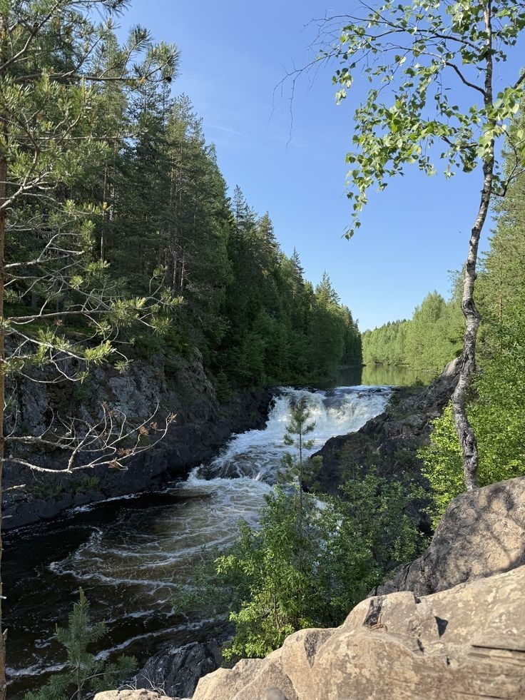 Водопач Кивач👆🏻