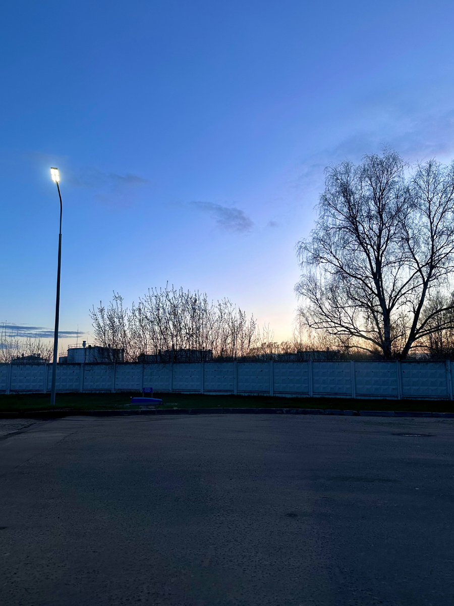 Фото дерево и фонарь