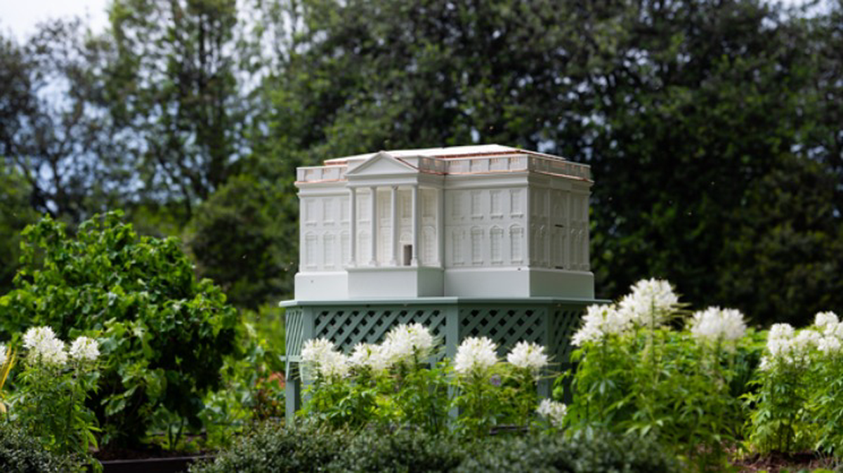    Фото: Official White House Photo, Andrea Hanks / whitehouse.gov