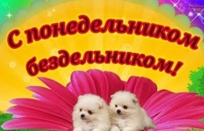 Фото из открытого источника