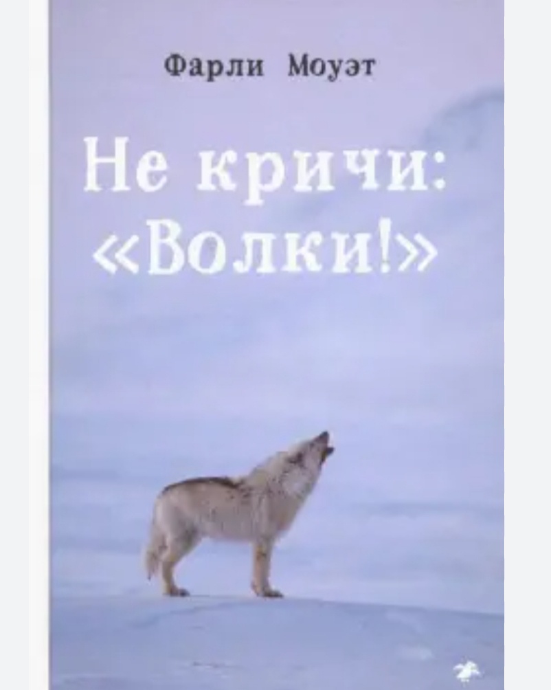 Фото из свободного доступа в интернет