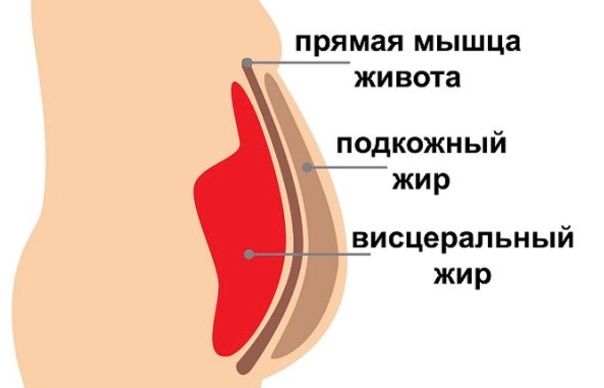 фото из открытого источника