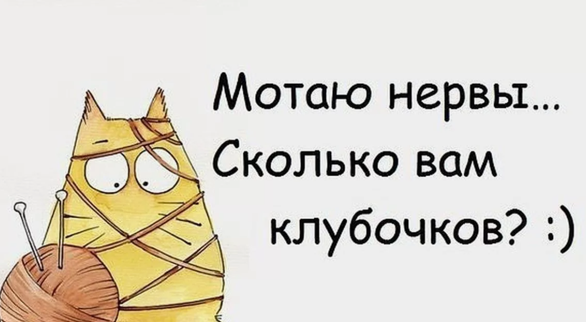А почему сегодня все такие нервные? фото из открытого источника