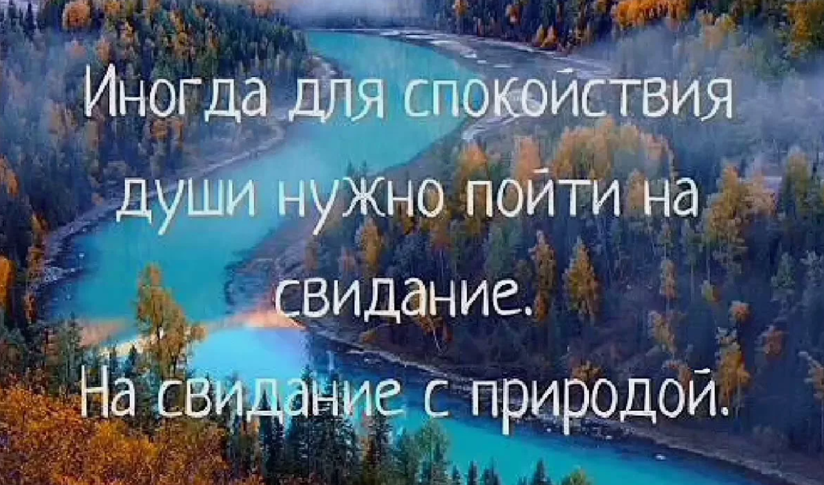 Отдых и тишина – лучшие друзья сегодня! фото из открытого истчоника