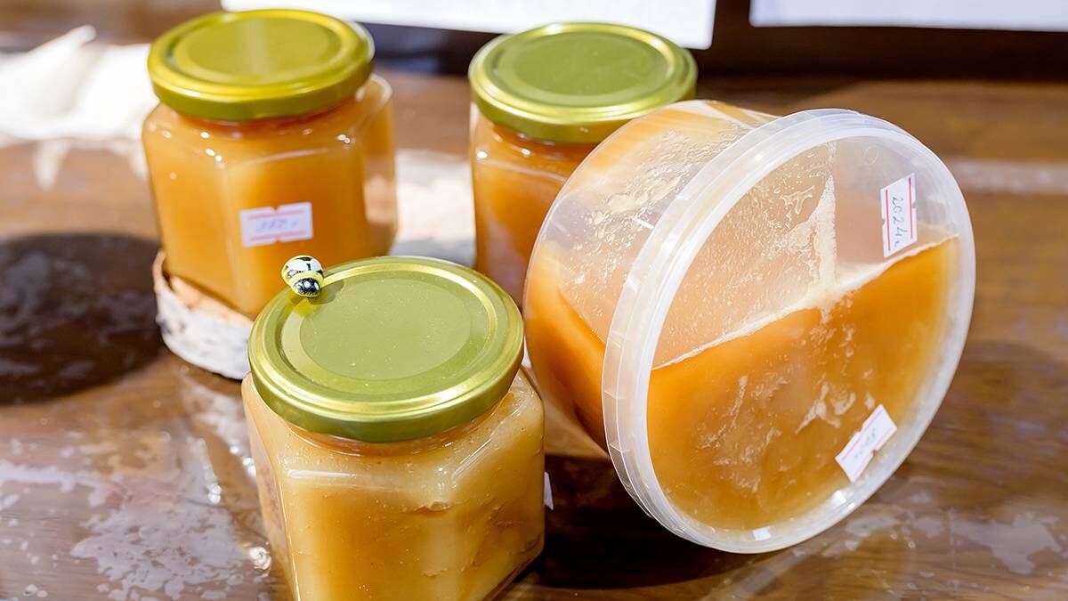    Фото: Дмитрий Дубинский / Вечерняя Москва