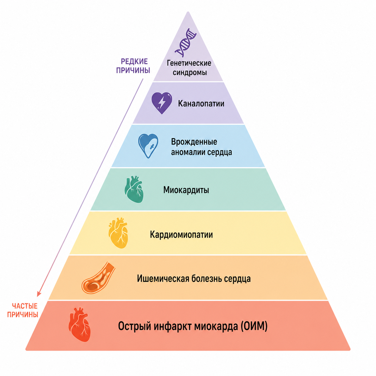 Причины внезапной сердечной смерти