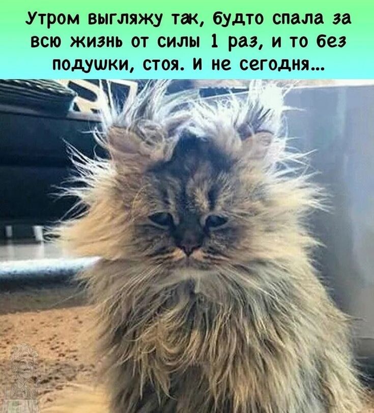 источник Яндекс-картинки