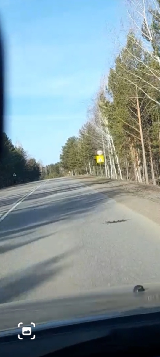 Фото автора.  Дорога на дачу