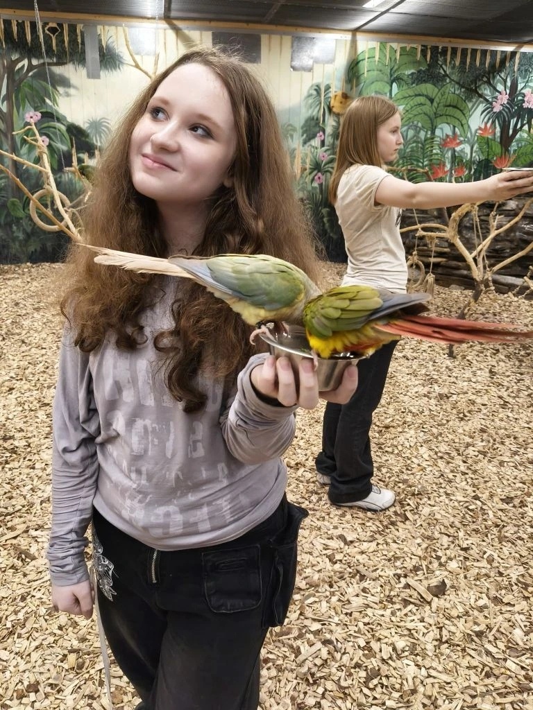 Дочка с попугаями