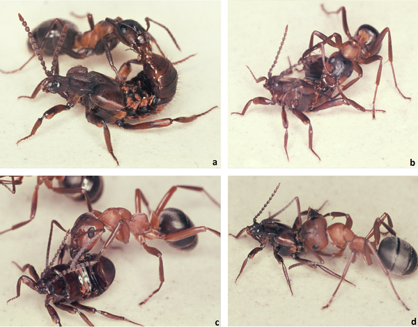 Эй, с какой стороны от тебя ловить кайф???