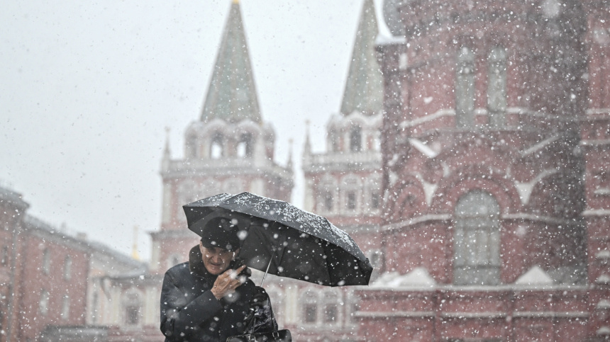    Фото: © РИА Новости/Сергей Бобылев; 5-tv.ru