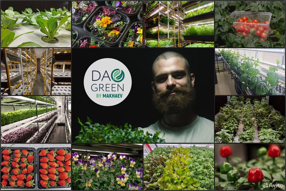 Объявление с Авито г Тюмень