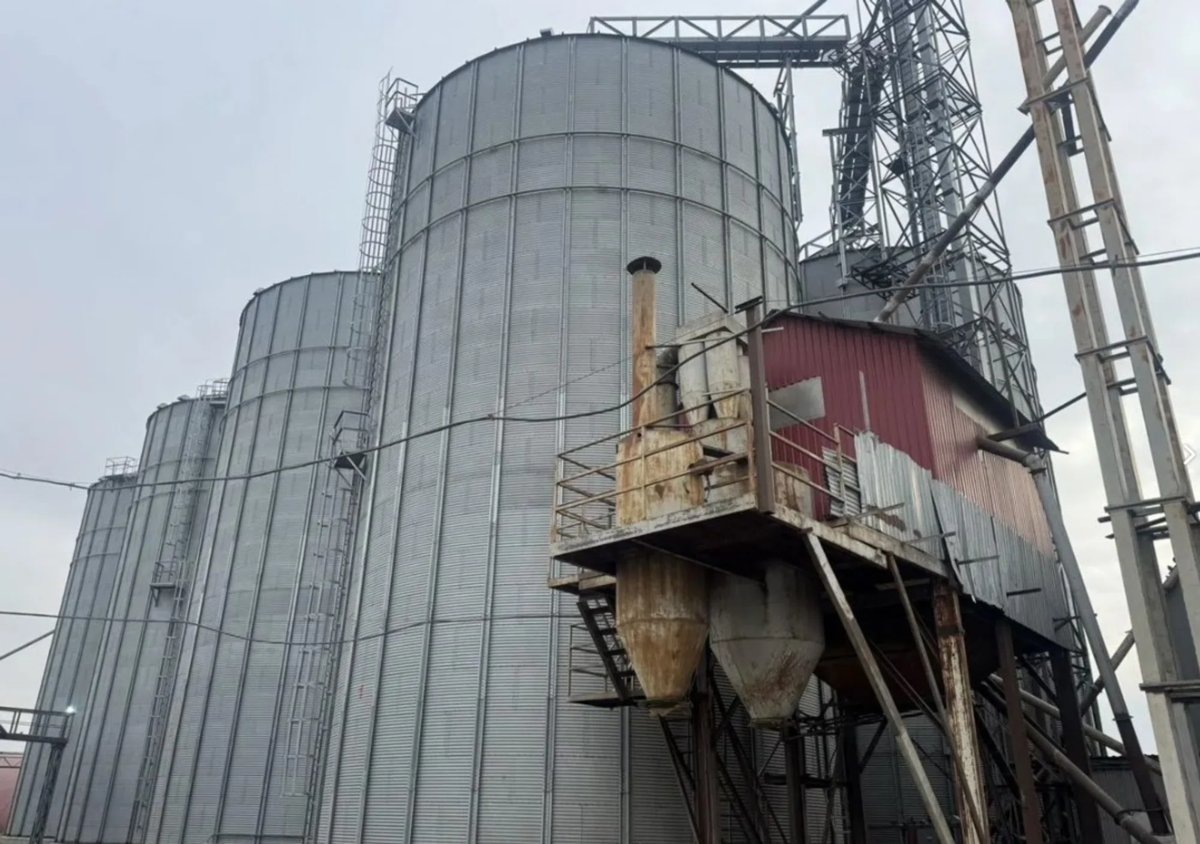    Комплекс по производству муки продают в Кургане