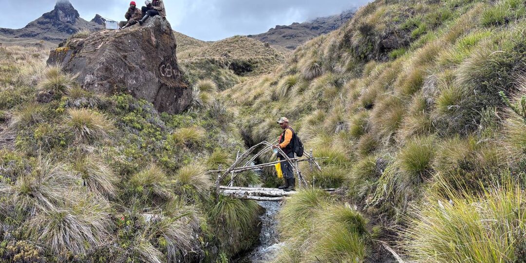 Хождение на Гилуве