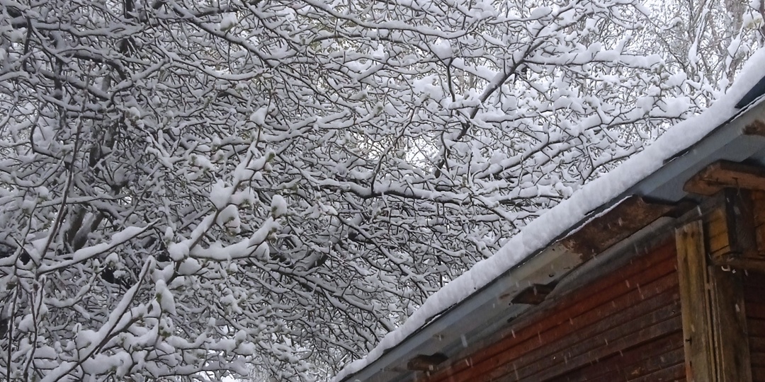 Это худший апрель в моей жизни!