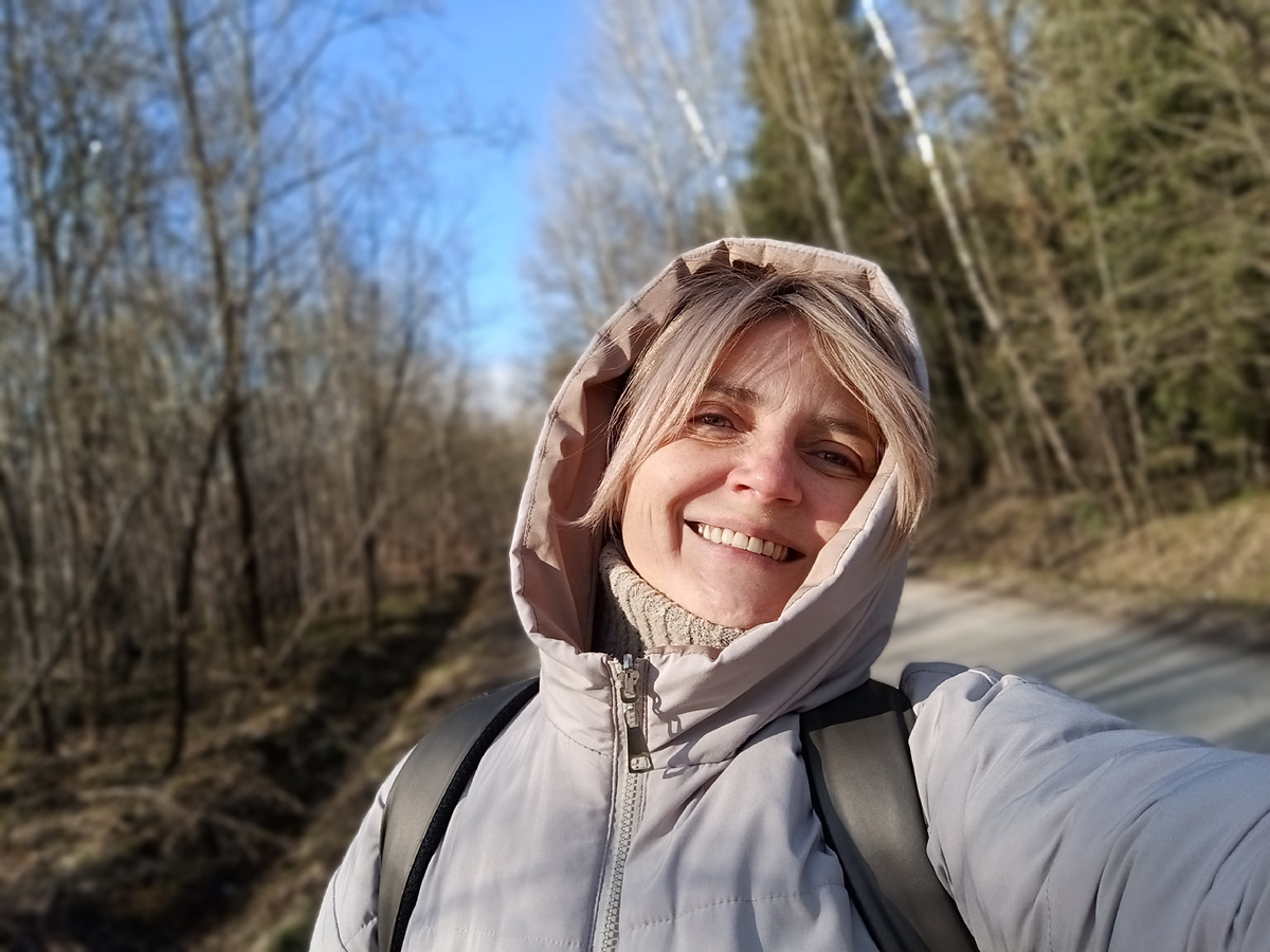 Дорога через лес
