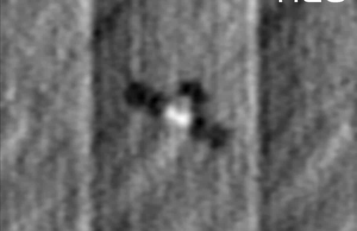    Спутник австралийской компании HEO, сделал этот снимок аппарата «Космоса-2558», одного из предполагаемых российских спутников программы Нивелир, находящихся на низкой околоземной орбите / © HEO