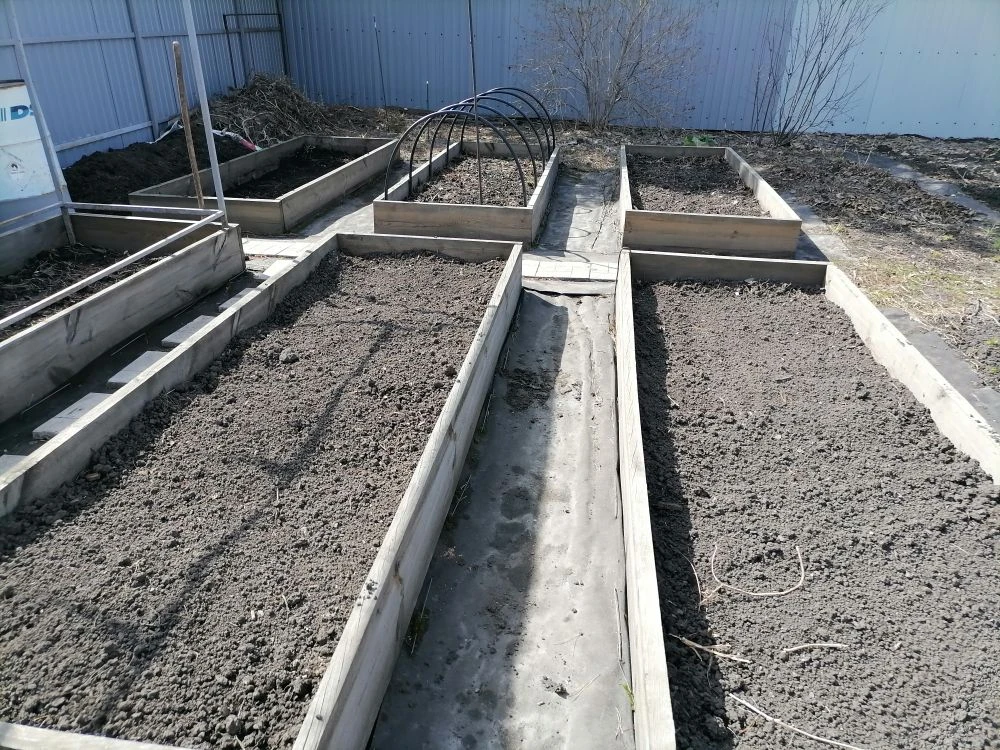 Грядки уже помаленьку перекапываю, чтобы земля перемешивалась с теплым воздухом и быстрее прогревалась, плюс переворачиваются комки земли, выворачиваются наружу яйца слизней и других вредителей, фото автора