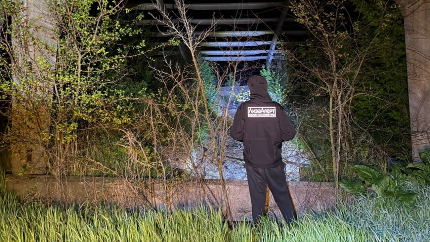 Фото: ЛизаАлерт