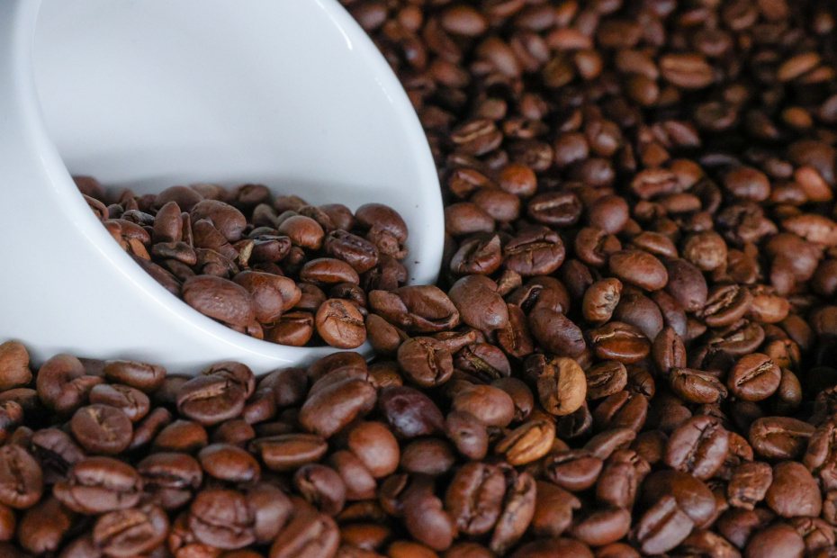    Сергей Булкин/NEWS.ru