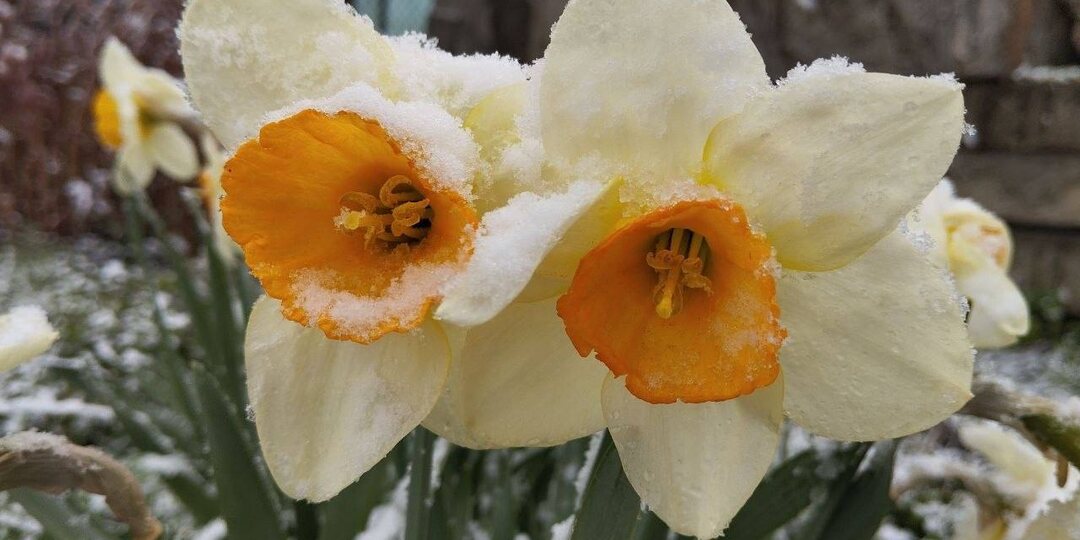 Помогите определить время года! И, кстати, а что у вас за окном