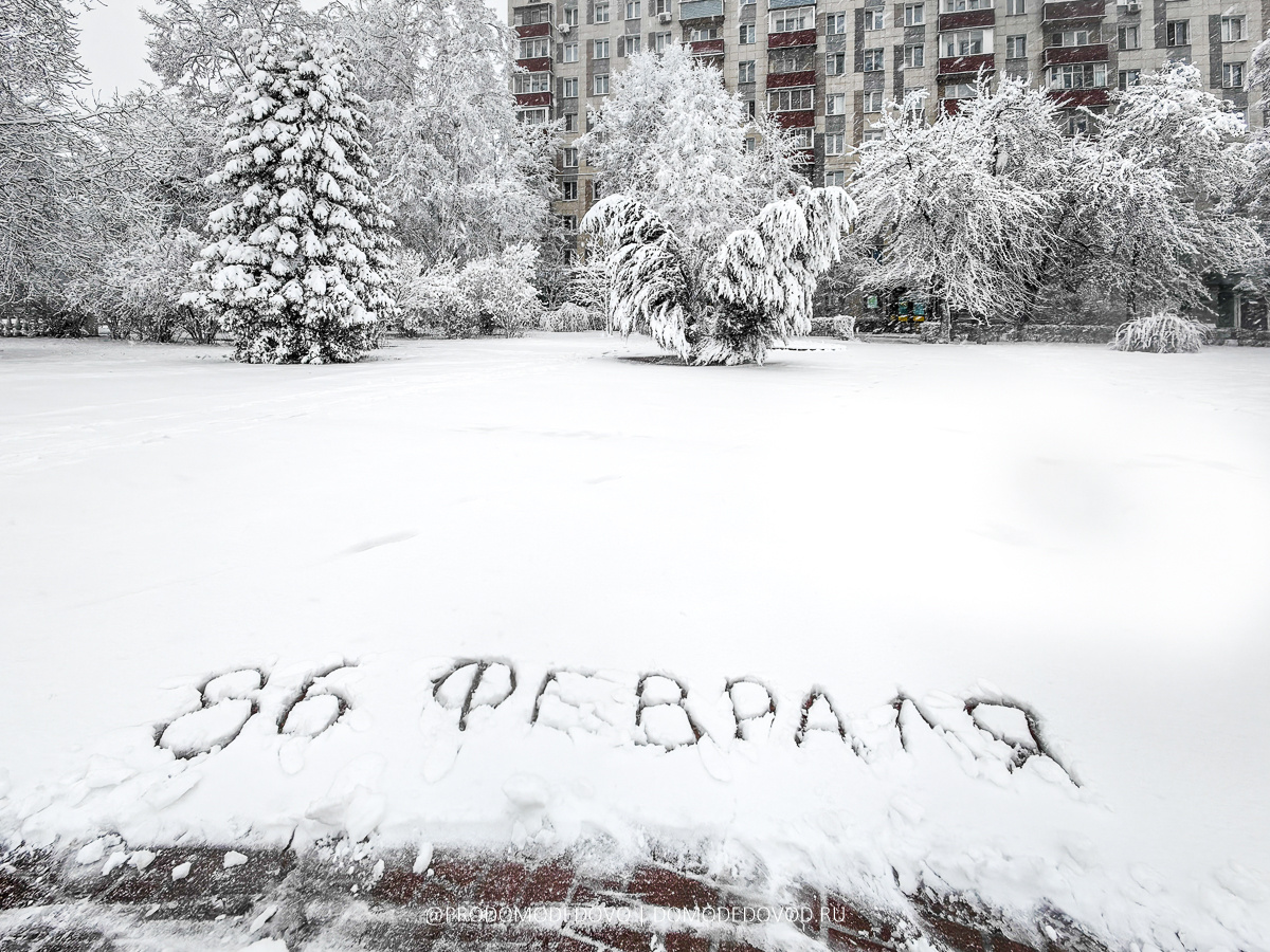 86 февраля в Московской области. Фото канала @prodomodedovo