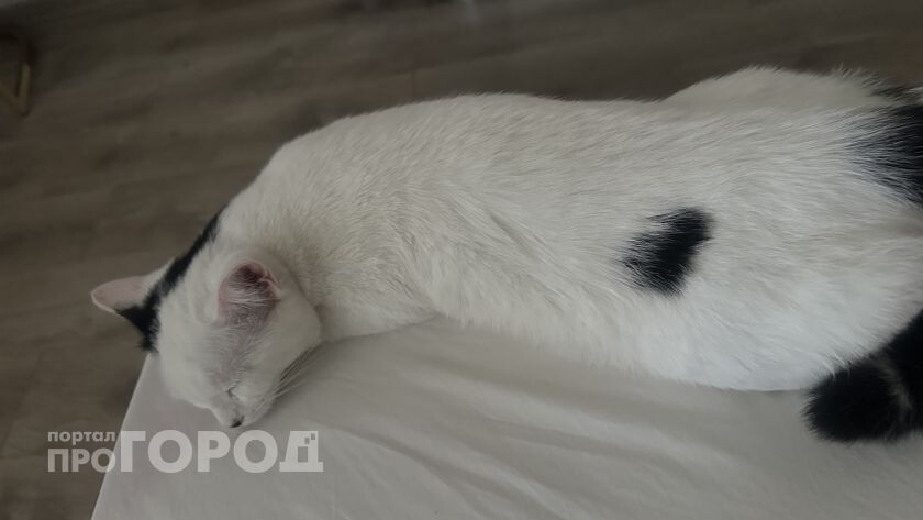    Про Город