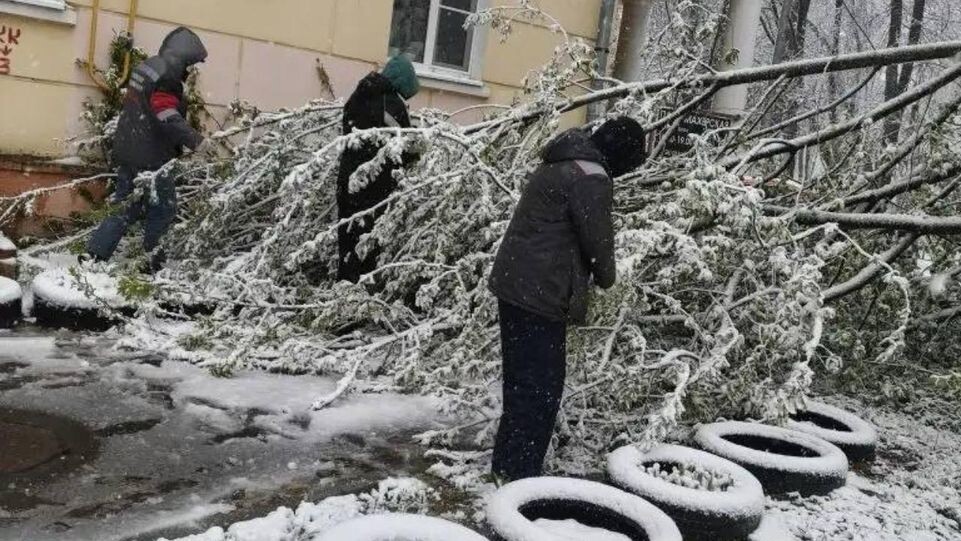    пресс-служба администрации г.о. Красногорск