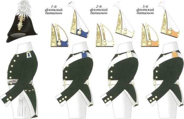 Схема цветовых различий обмундирования солдат и офицеров морской пехоты. Март 1802–1803 гг. Черноморский флот. Компьютерная графика С.А. Попова.