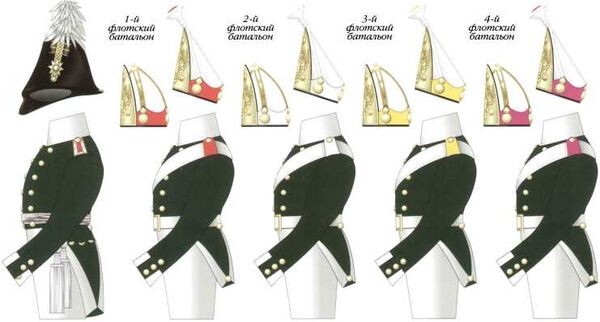 Схема цветовых различий обмундирования солдат и офицеров морской пехоты. Март 1802–1803 гг. Балтийский флот. Компьютерная графика С.А. Попова.