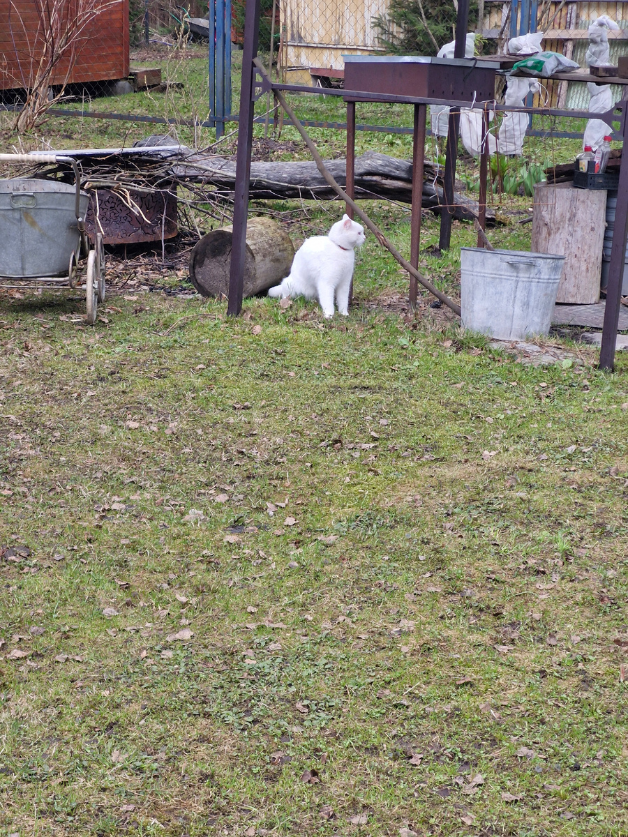 Глаша на участке