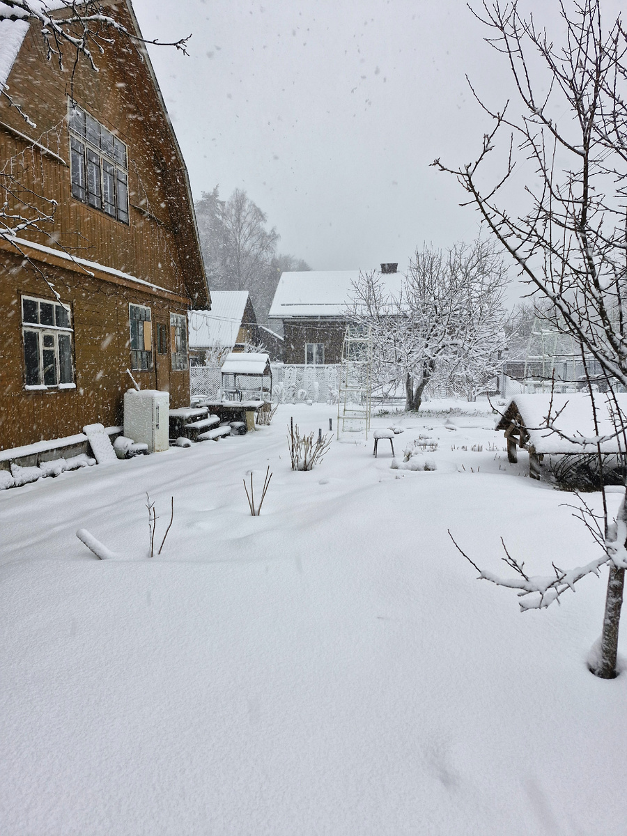 Понедельник