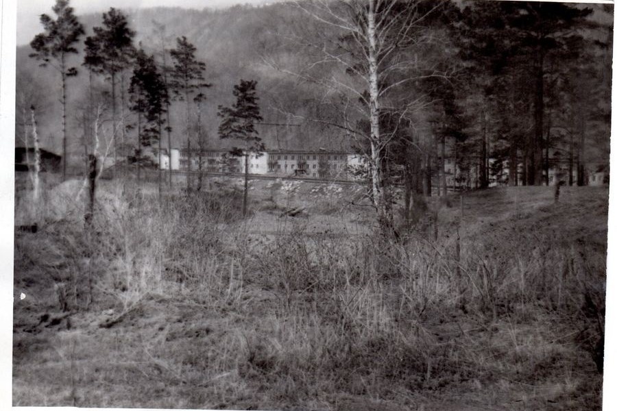 Место, где был заложен розарий. 1970-е гг.
Источник: Дивногорский городской музей
