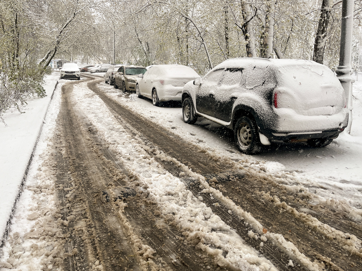 Все фотографии сделаны автором статьи