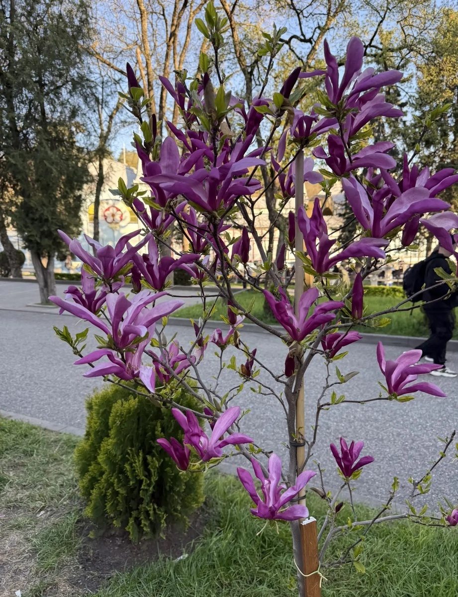 Весна на КМВ