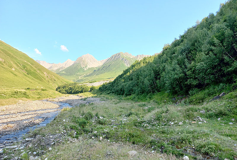 «Божественное нечто…»
