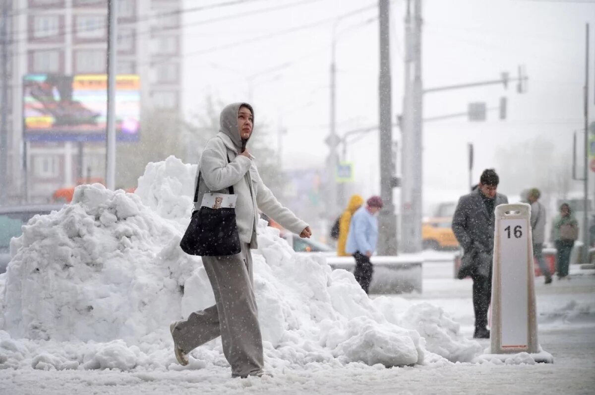    В течение дня в столице ожидается мокрый снег и дождь.