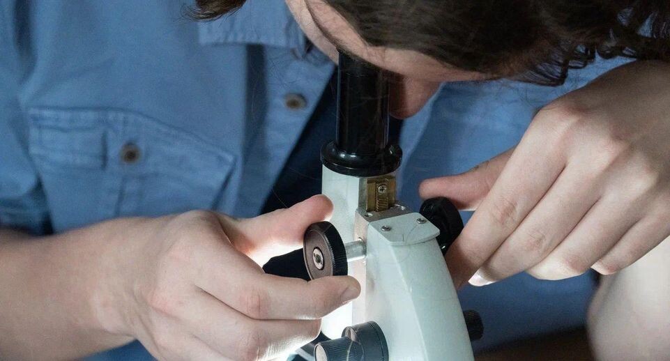    REGIONS/Наталья Надточая