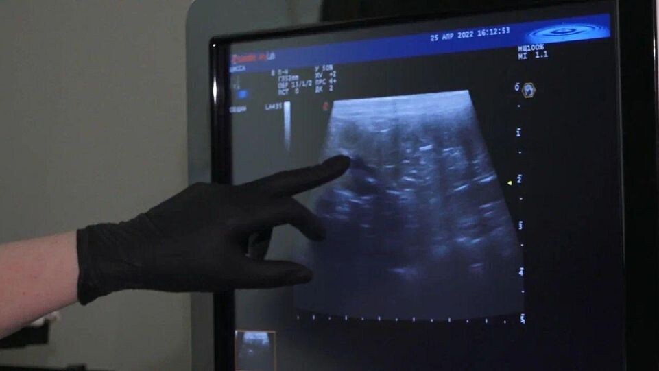    REGIONS/Наталья Надточая