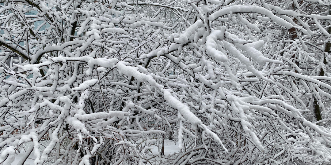 Апрельская метель перед майским теплом