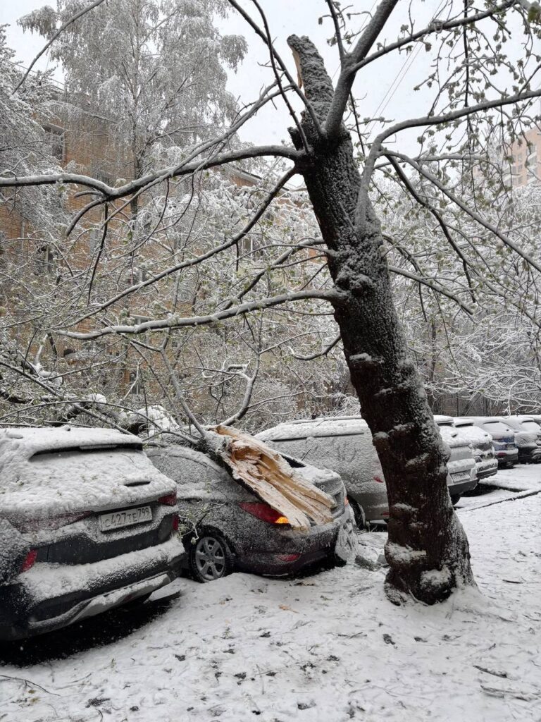    Фото: соцсети