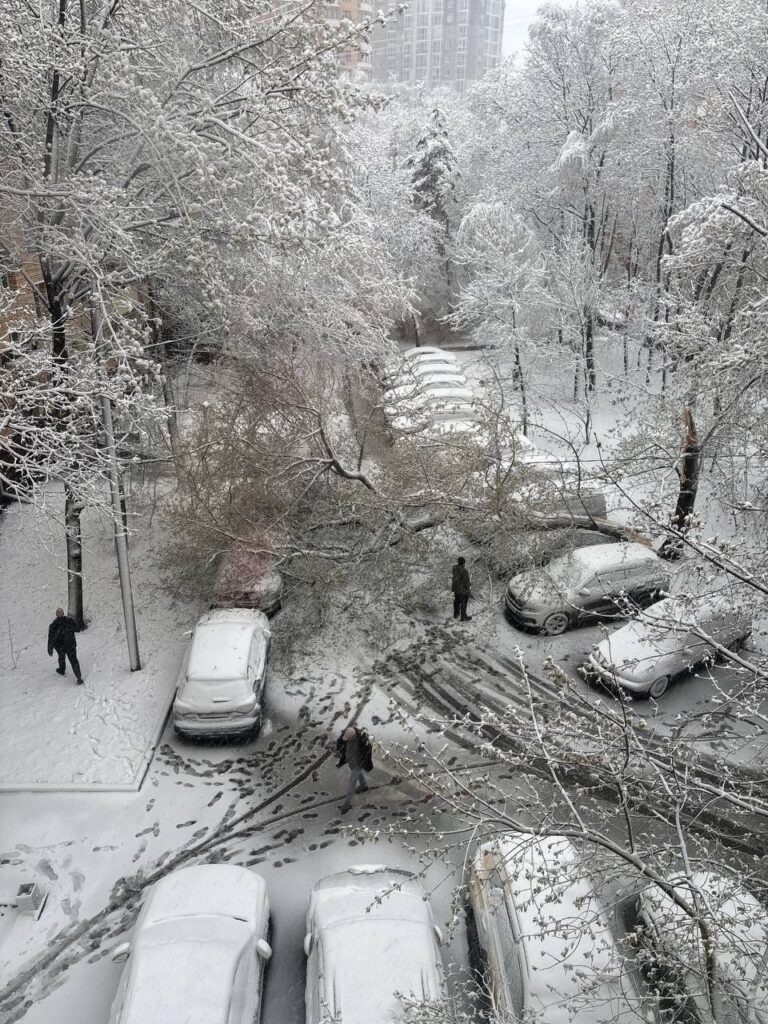   Фото: соцсети