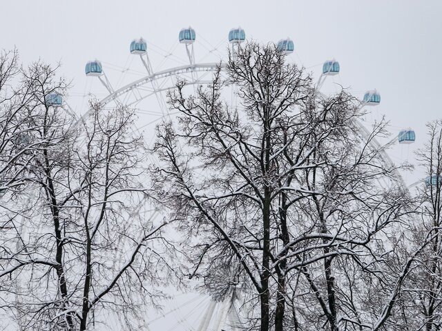    Фото: Москва 24/Лидия Широнина​