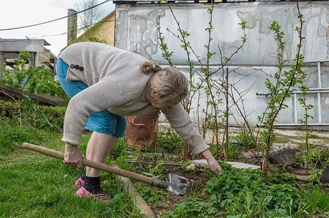 Дача без боли: почему тело «ломается» уже в первый день — и как этого избежать