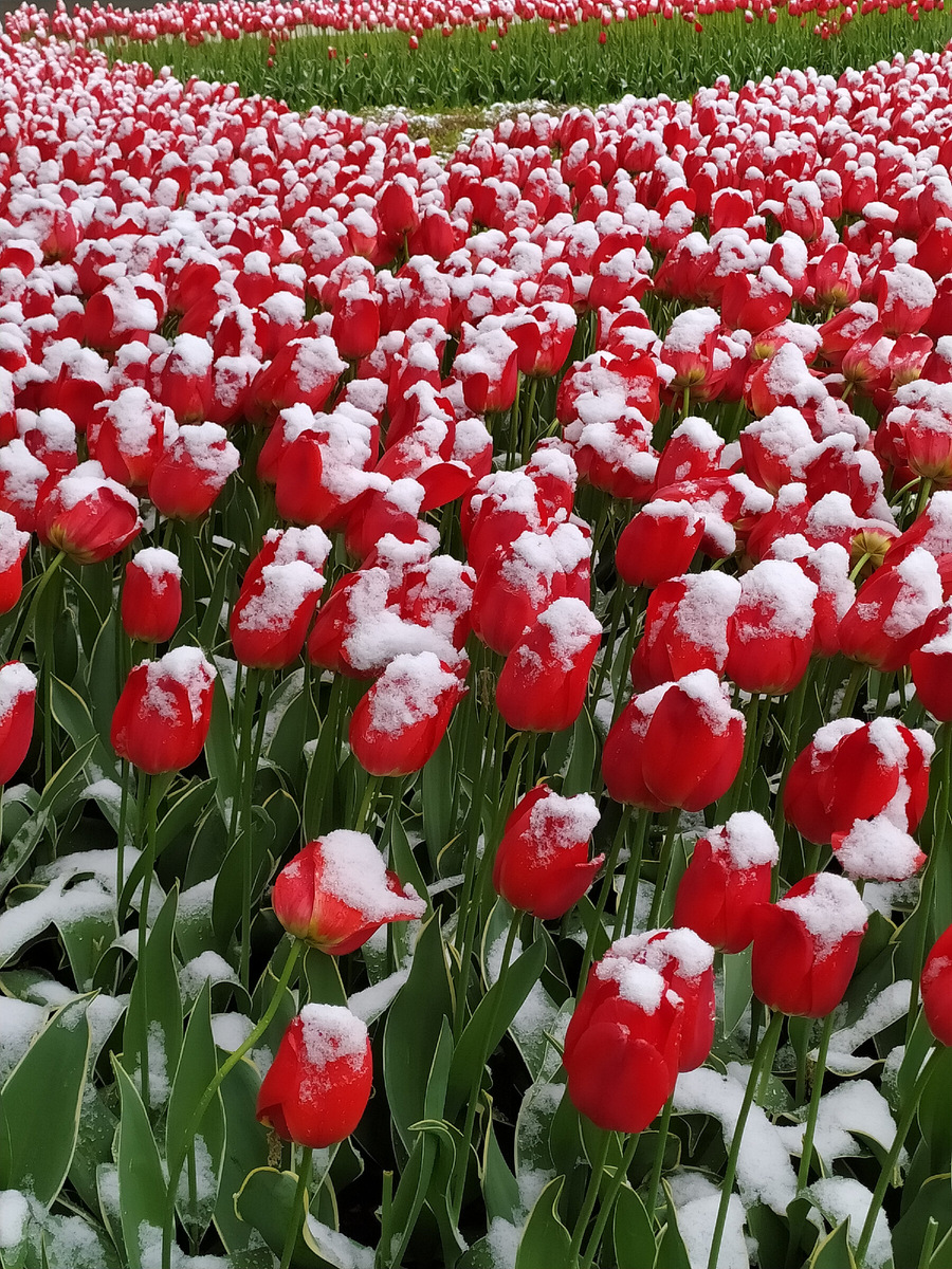 Два года назад, май