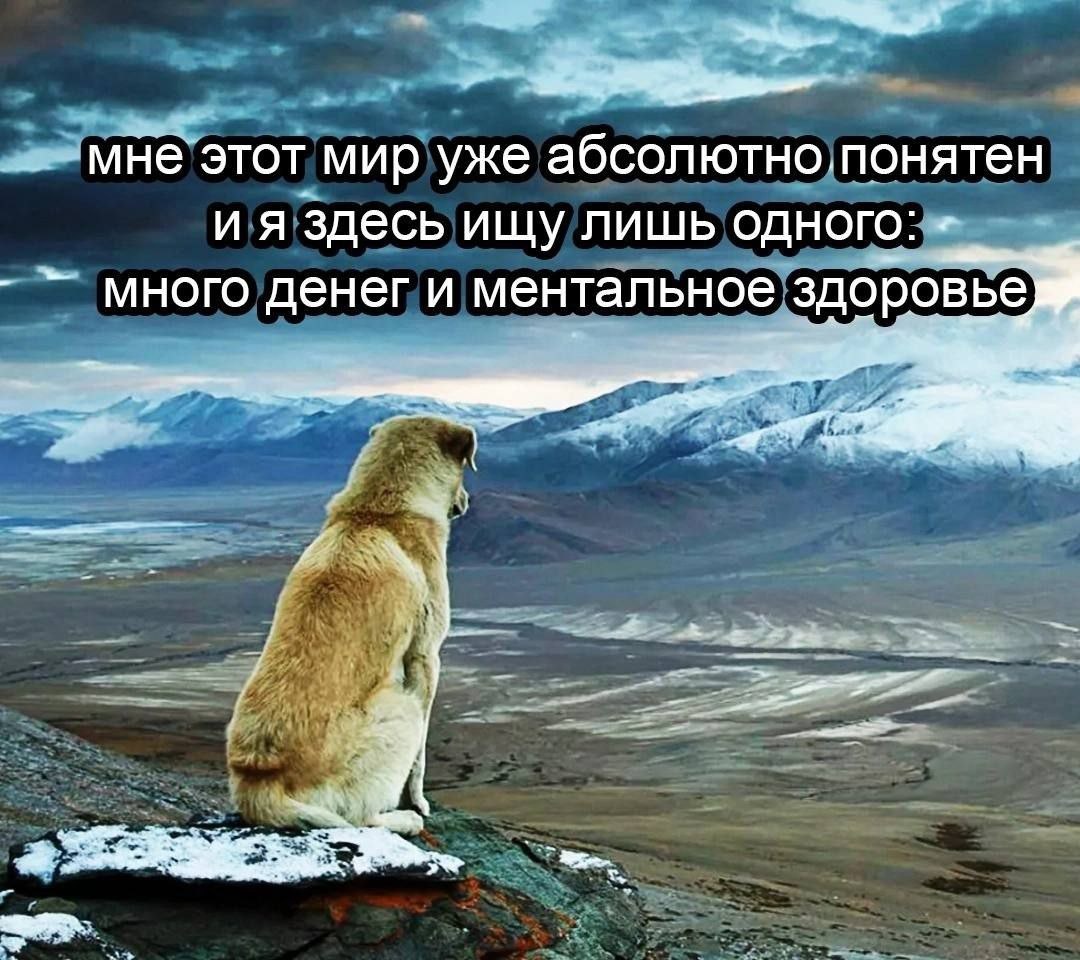 Открытые источники