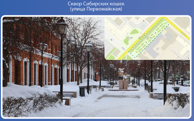 Тюменцы решают, какими станут площадь Солнца и сквер Сибирских кошек